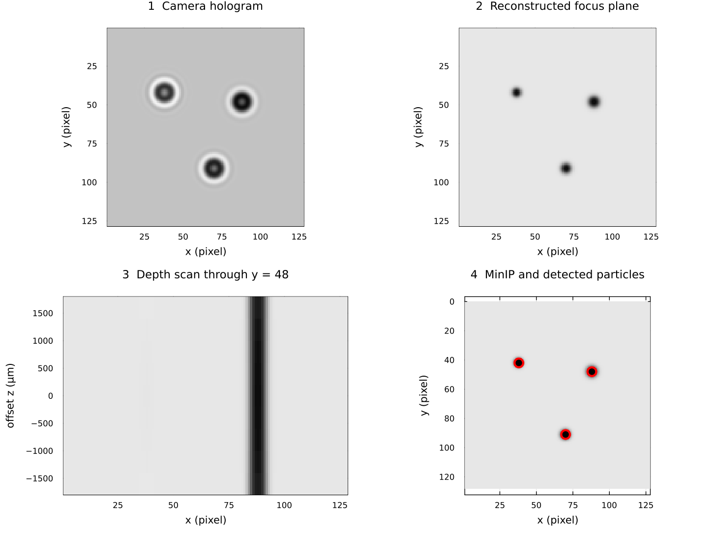 A simulated hologram, its reconstructed focus plane, a depth scan, and a minimum-intensity projection with detected particles.