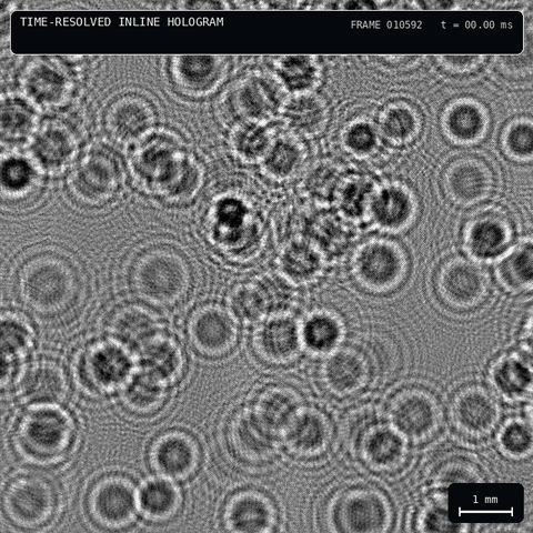 Time-resolved inline particle holograms with a 1 mm scale bar